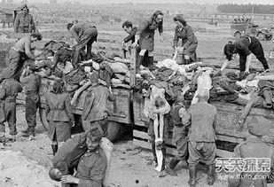 反人类暴行,反人类暴行的残酷真相  第3张