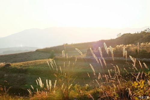 大地 Land,探寻自然之美与人文之韵 第3张 大地 Land,探寻自然之美与人文之韵 第3张