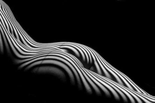 黑白之间是彩色世界,探索绚烂多彩的视觉奇境  第3张