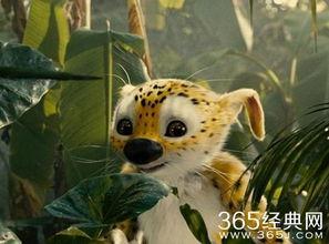 追踪长尾豹马修,一场惊心动魄的野生动物冒险之旅 第2张 追踪长尾豹马修,一场惊心动魄的野生动物冒险之旅 第2张