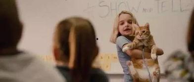 天才少女,闪耀青春的璀璨星辰  第3张