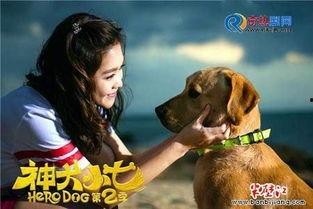 神犬小七 第二季,忠诚守护，勇闯天涯  第2张