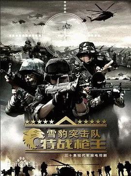 雪豹突击队之特战枪王,巅峰对决，枪林弹雨中的英雄传奇