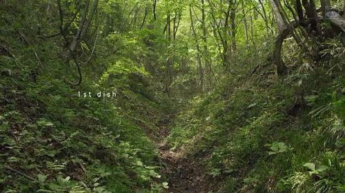 小森林 冬春篇,冬春篇——四季轮回中的温馨田园生活