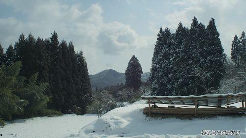 小森林 冬春篇,冬春篇——四季轮回中的温馨田园生活 第2张 小森林 冬春篇,冬春篇——四季轮回中的温馨田园生活 第2张
